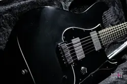 FENDER JIM ROOT STRATOCASTER / 2010