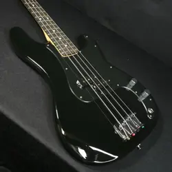 FINGERBOARD BLACK W/GIG