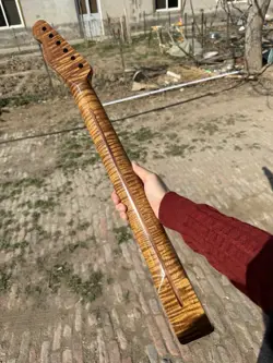 TELE 22FRETS ROASTED