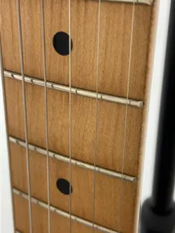 SSS 21 FRETS