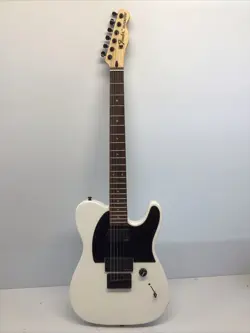 FENDER JIM ROOT SIGNATURE TELECASTER FLAT WHITE 2013 USED