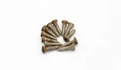 BASS/PRECISION 12 SCREWS