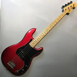 FENDER AM SPEC PB M NO.DG1001