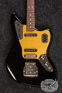 ANODIZED PICKGUARD MIJ