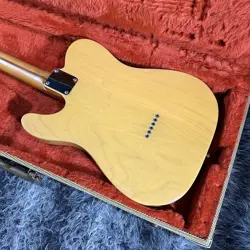 BUTTERSCOTCH BLONDE 1993