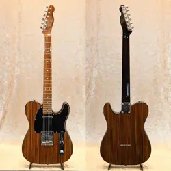 FENDER TL-ROSE ELECTRIC