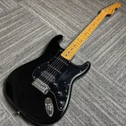 FENDER MEX PLAYER STRATCASTER