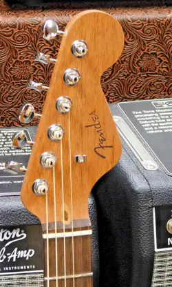 SERIES DREADNOUGHT ACOUSTIC-ELECTRIC