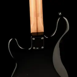OWNED 2005 FENDER