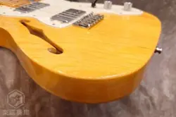 THINLINE ELECTRIC GUTIAR