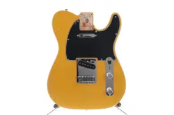 FENDER PLAYER SERIES TELECASTER BODY BUTTERSCOTCH BLONDE FINISH FULLY LOADED