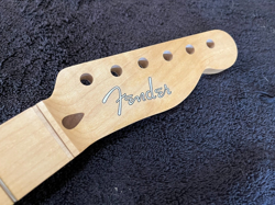 WARMOTH LIC BY