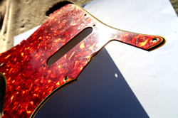 TORTOISE PICKGUARD 61