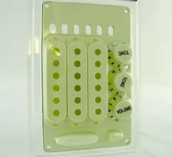 NEW - ACCESSORY KIT FOR FENDER STRAT - MINT GREEN