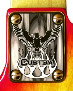 GUITAR EAGLE CUSTOM