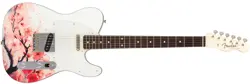 SAKURA TELECASTER MADE