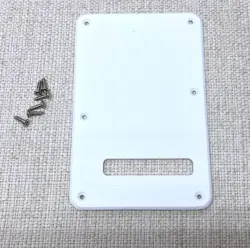 PLATE W/SCREWS SINGLE