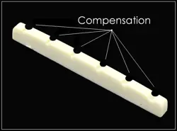 FULLY COMPENSATED BONE