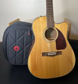 GUITAR WITH ROADRUNNER