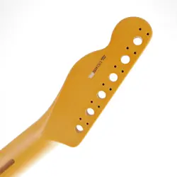 FRETBOARD STRIPPED TRUSS