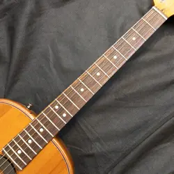 FENDER HIGHWAY SERIES PARLOR RW ALL MAHOGANY