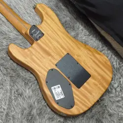 AMERICAN ACOUSTASONIC STRAT