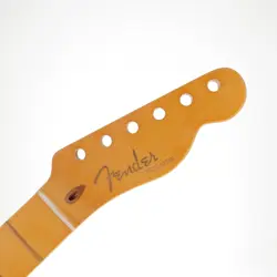 FRETBOARD WITH LIGHT