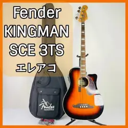 SERIES FENDER ELECTRIC