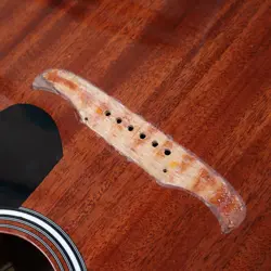 V2 ACOUSTIC ELECTRIC