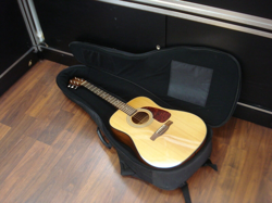 DREADNOUGHT GUITAR W/
