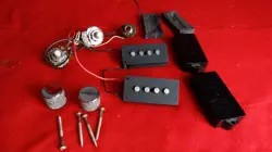 BASS POTS PICKGUARD