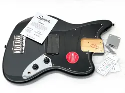 FROST METALLIC JAGUAR