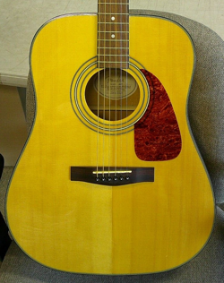 FENDER DG22S