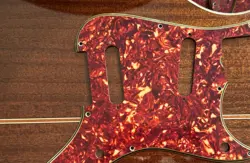 PICKGUARD 1956
