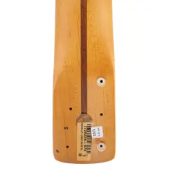 FRETS NEED POLISH/CROWN