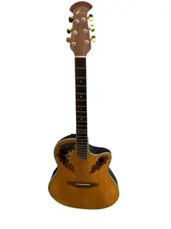 DELUXE ELECTRIC/ACOUSTIC STRING