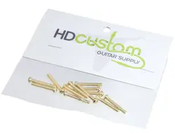 PICKUP/SWITCH SCREWS GOLD