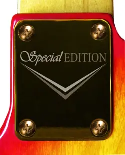 NECK PLATE NECKPLATE GOLD FENDER STRAT TELE P BASS J BASS GUITAR SPECIAL EDITION