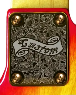 GUITAR PAISLEY CUSTOM