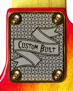 GUITAR CUSTOM BUILT