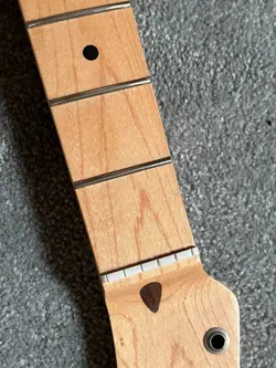 PAISLEY SIGNATURE TELECASTER