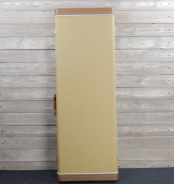 GUITAR STRATOCASTER/TELECASTER CASE