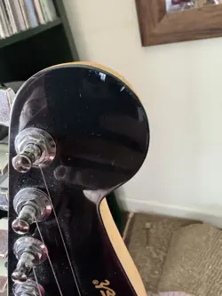 FINGERBOARD LIMITED-EDITION ELECTRIC