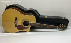 FENDER DG200SCE ACOUSTIC ELECTRIC GUITAR WITH CASE