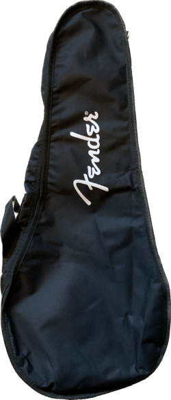 FENDER PARAMOUNT BLUEGRASS