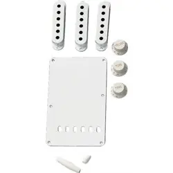 STRATOCASTER/STRAT ACCESSORY KIT