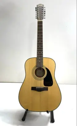 STRING ACOUSTIC-W/ACCESS.