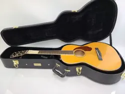 FENDER PARAMOUNT PM-2E