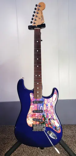 PICKGUARD NO RESERVE