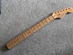 PROFESSIONAL STRATOCASTER STRAT